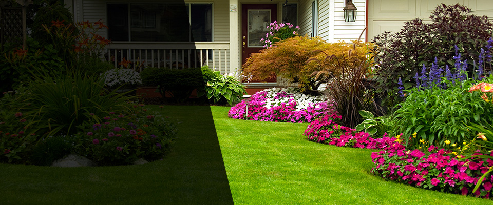 Port Royal Landscapers
